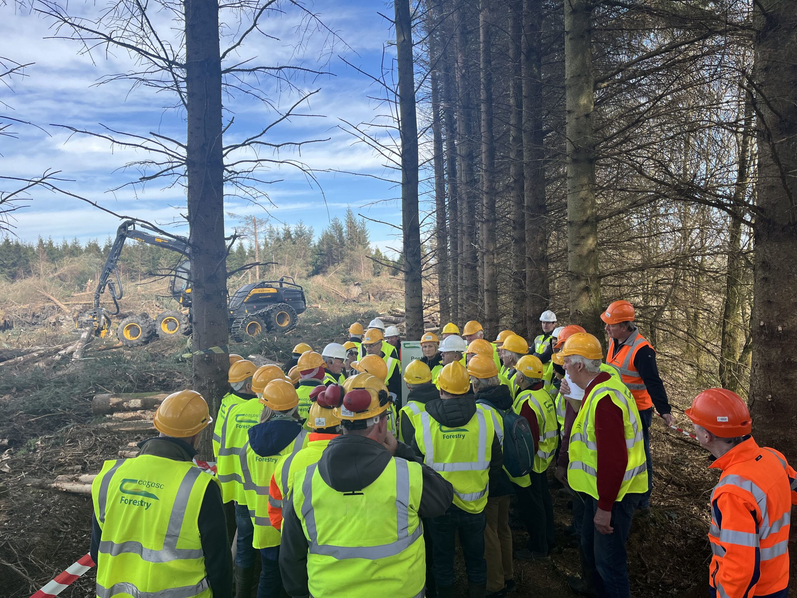 Teagasc post-storm timber harvesting demonstrations provide guidance for impacted forest owners