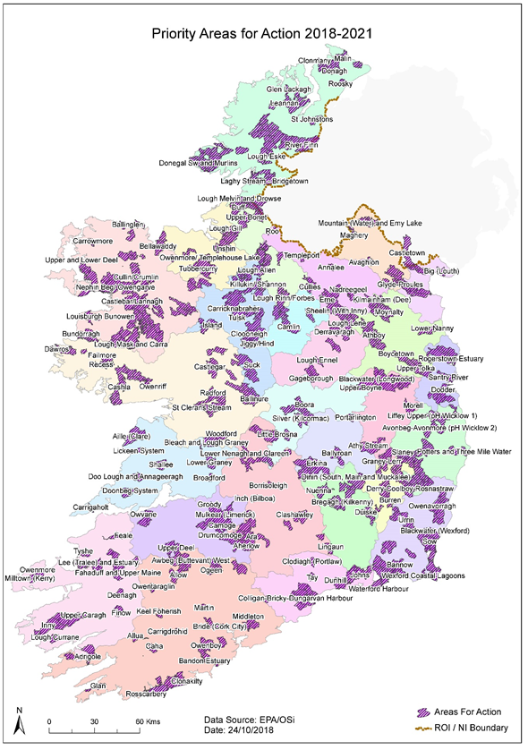 priority areas for action