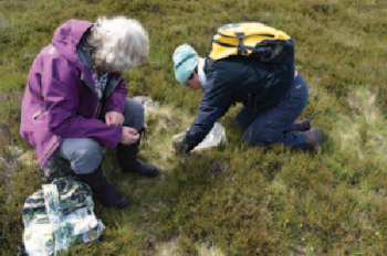 Prof. Helen Sheridan (left) and Dr Gaia Scalabrino from Trinity College Dublin, who are interested in bogland plants that may offer valuable natural products.