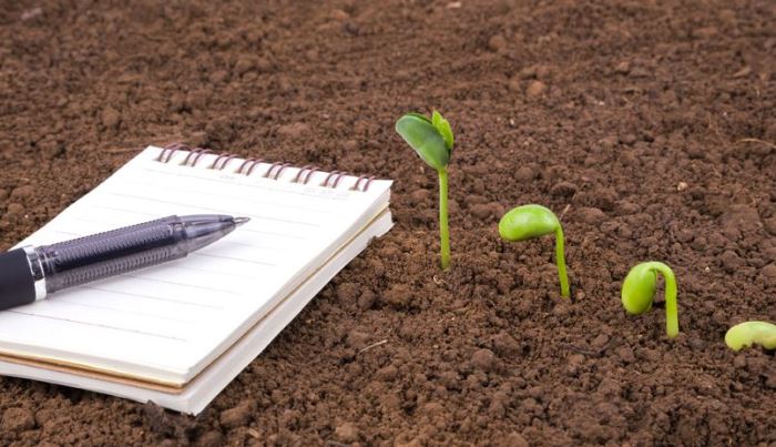Completing a Profit Monitor - Don’t leave it too late