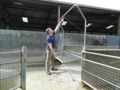 Pulley operated swing gate