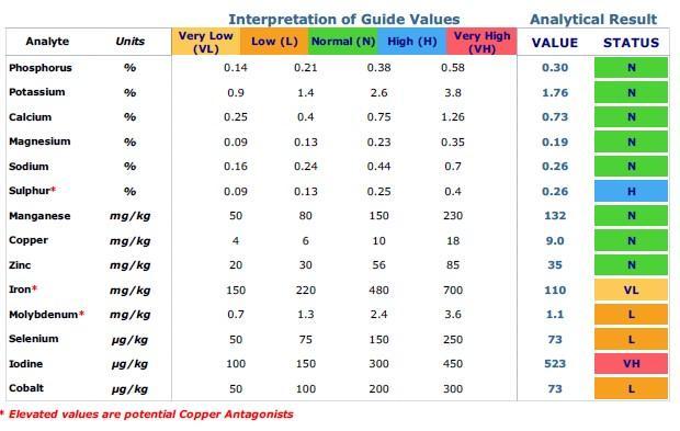 Mineral sample results from silage