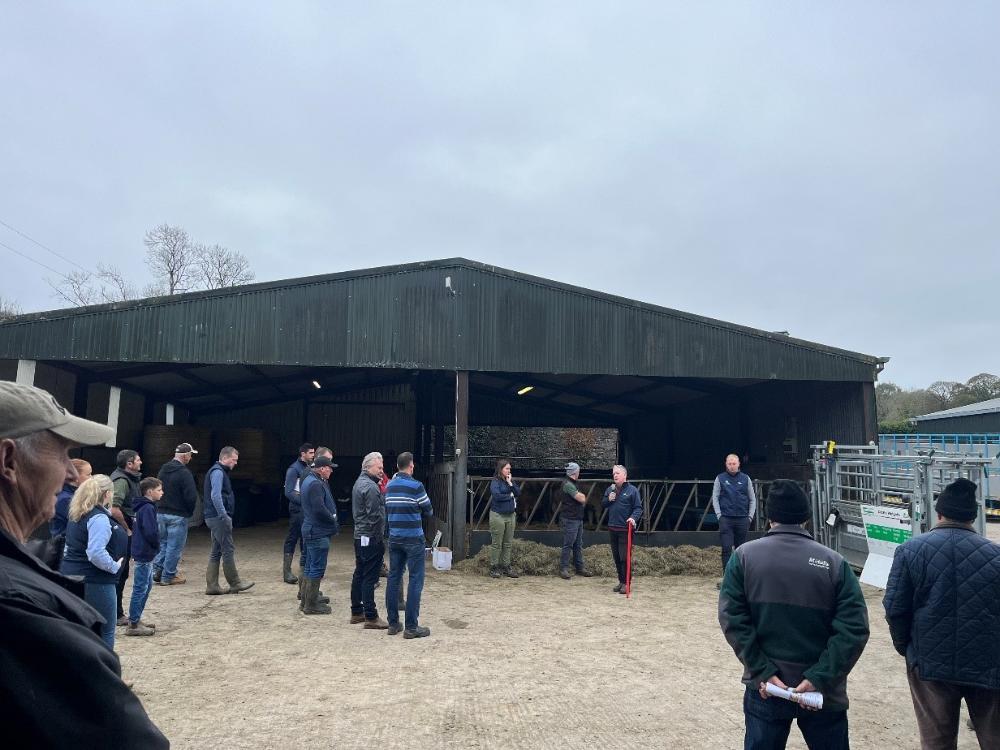Farm walk on Ruairi's farm