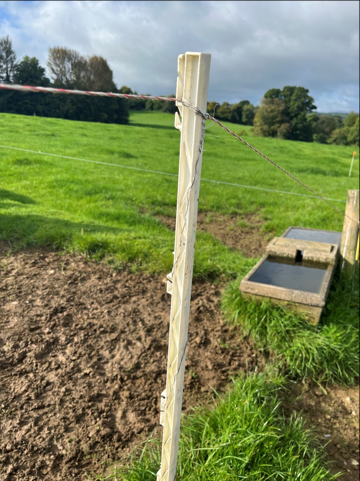 Horse pole with wire wrapped around it to prevent cattle from scratching off it