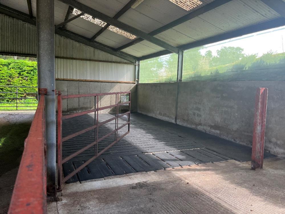 Clean shed