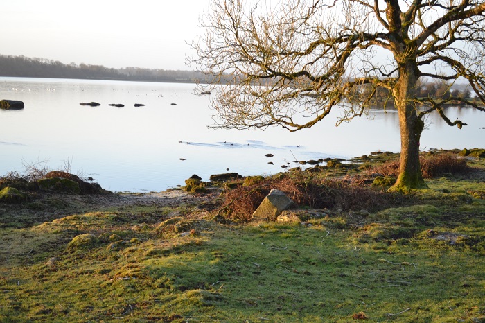 A celebration of our wetlands