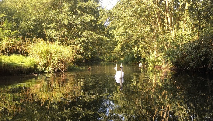What’s the “Water Quality” like here?