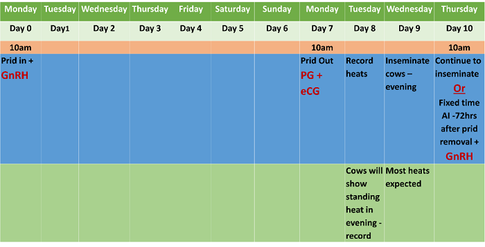 Figure 1: Recommended cow synchronisation protocol