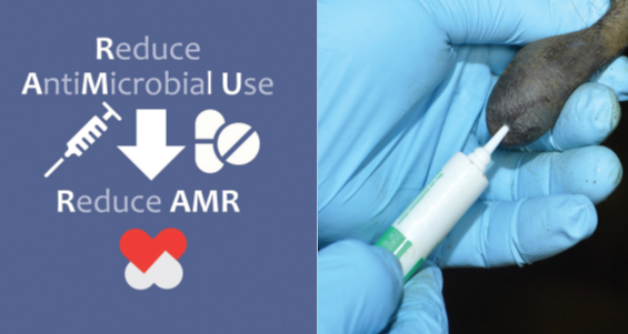 Poster reads Reduce antimicrobial use, reduce AMR