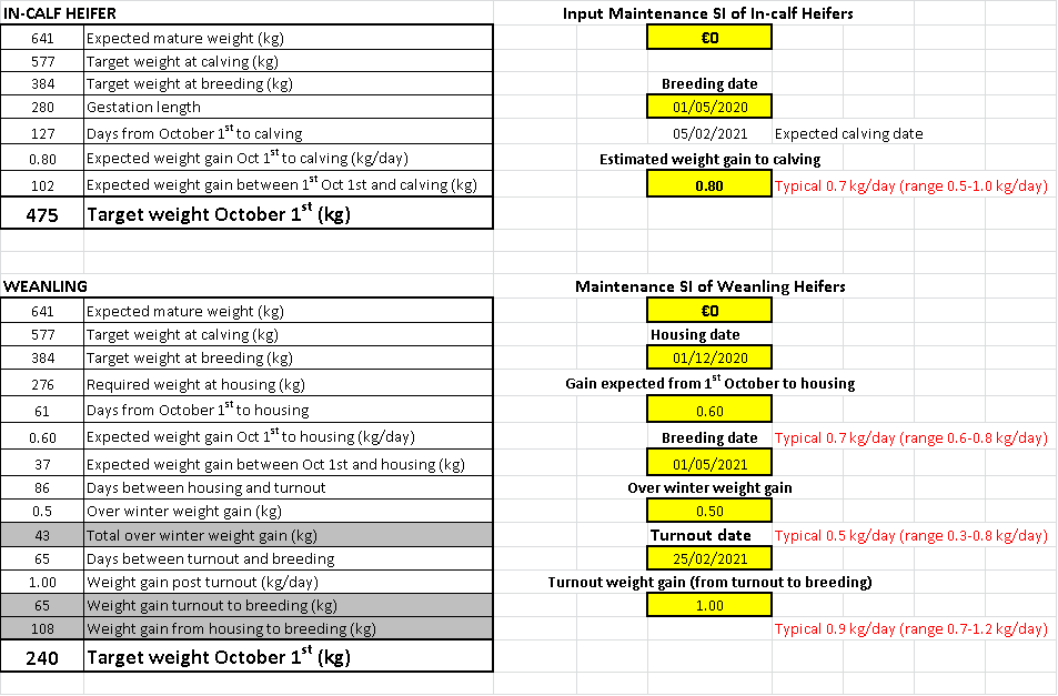 Replacement heifer target weight spreadsheet