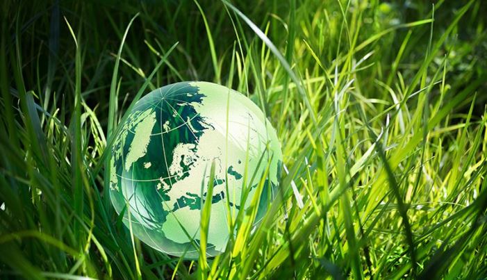 Teagasc Research Impact Highlights in 2021