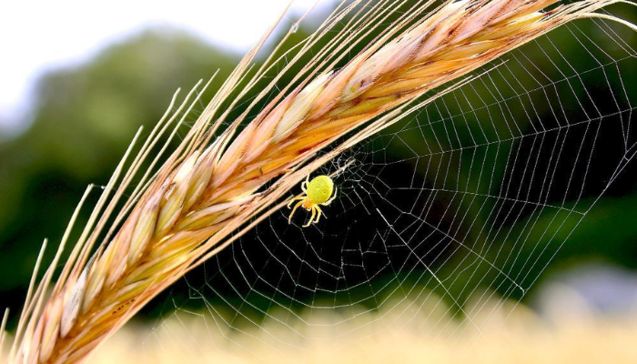 Teagasc unveil winners of Research and Innovation photo competition 2022
