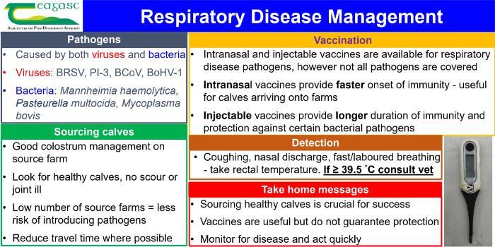 Respiratory Disease Management
