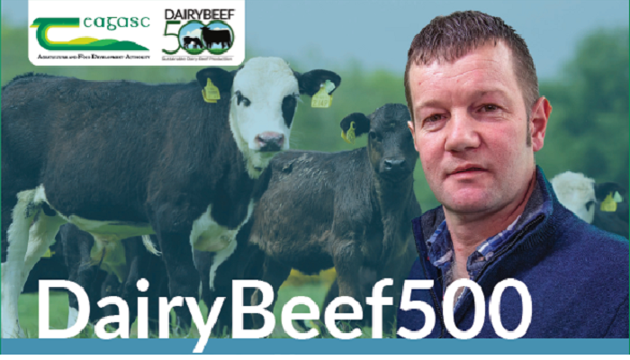DairyBeef500 Walk with Richard Long, Co. Waterford