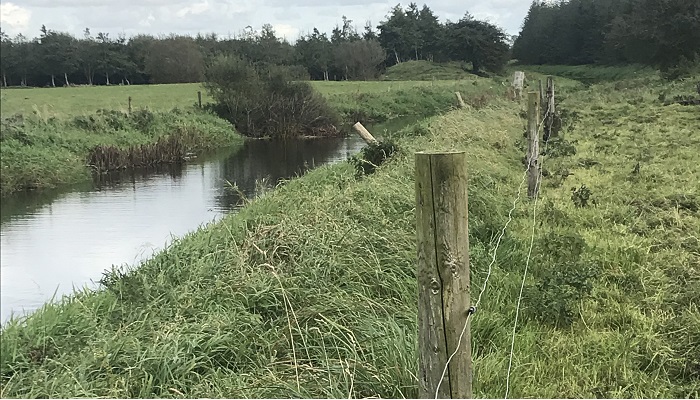 New guidelines on riparian buffer zones