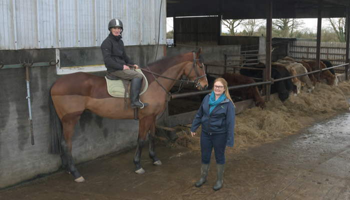 Equines on an organic farm