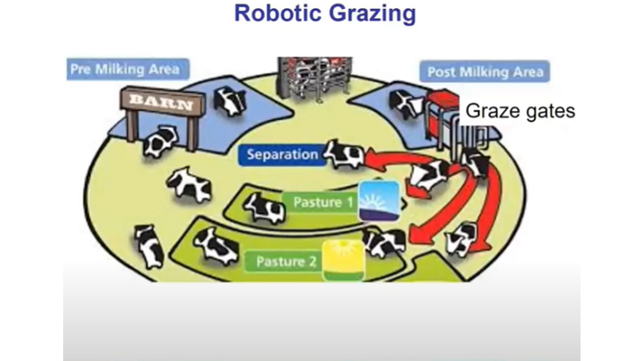 Robotic milking - is it for you?