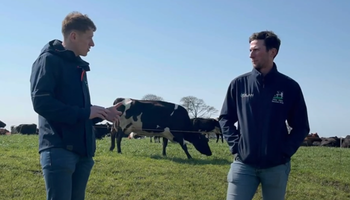 Nearing the 9% milk solids target