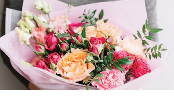 Roses, not just for Valentine's Day