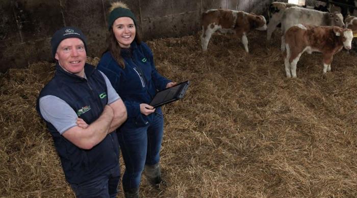 Breeding the key to suckler success