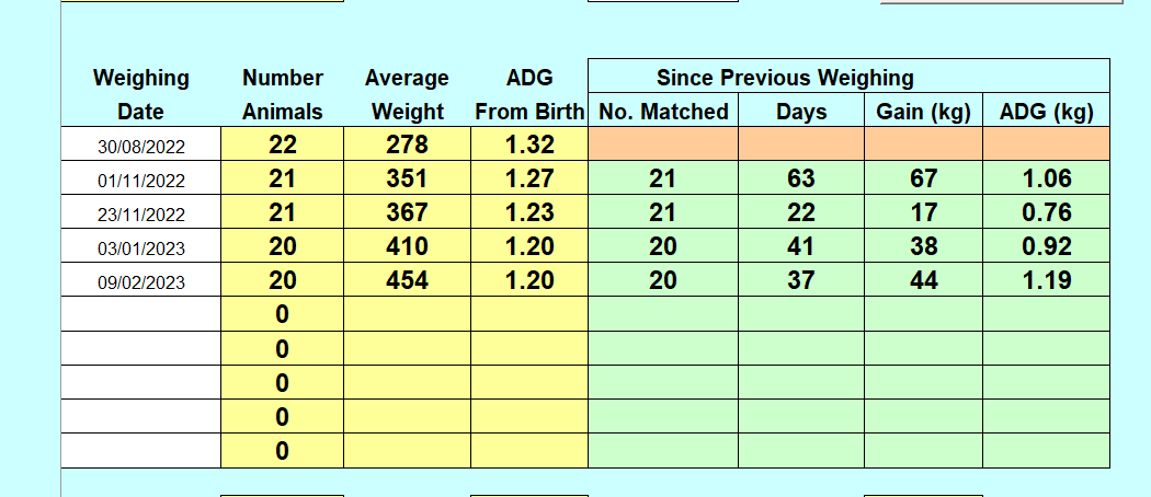 Bull weights