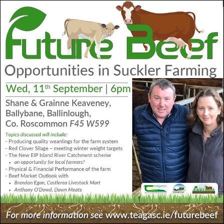Shane Keaveney's farm walk ad