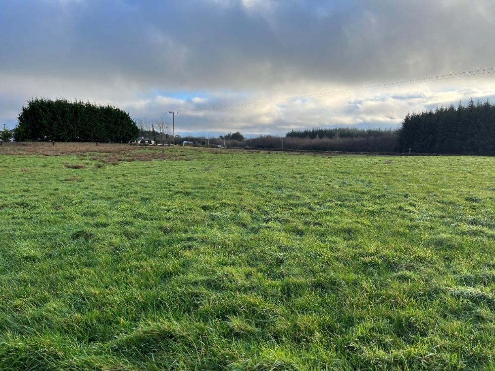 New land being leased