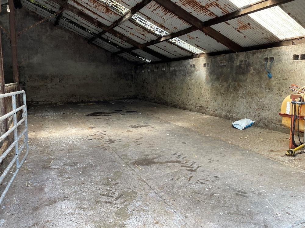 Shed where bulls are housed