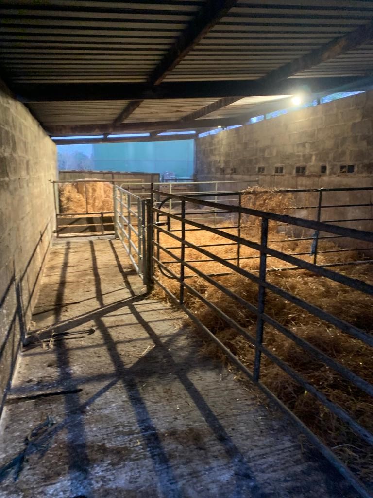 New calving pens