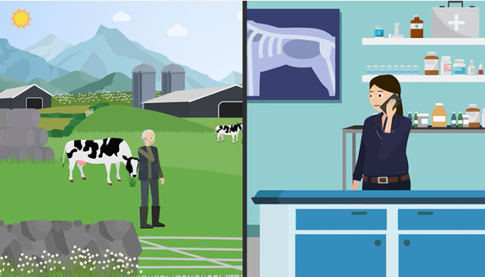 Launch of Co-designed Tools to support Farm Animal Surveillance, Welfare and Biosecurity