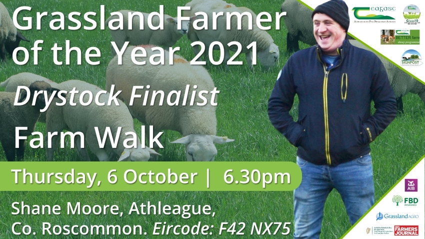 Shane Moore Farm Walk Promo image