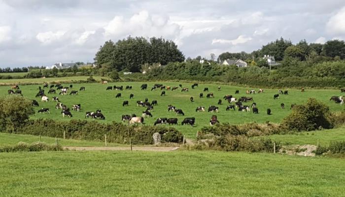 The Clover Reporter and Research update