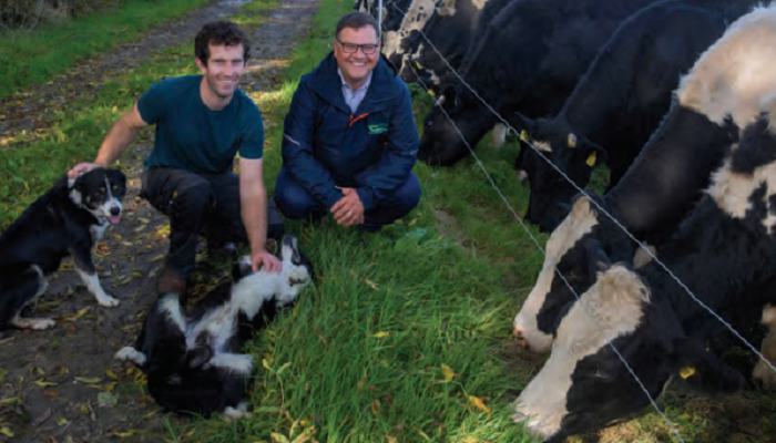 CBV differences follow through to finish for Carlow DairyBeef 500 participant