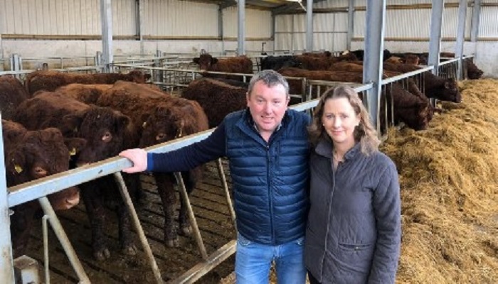 Slow and steady approach delivers for suckler herd fertility