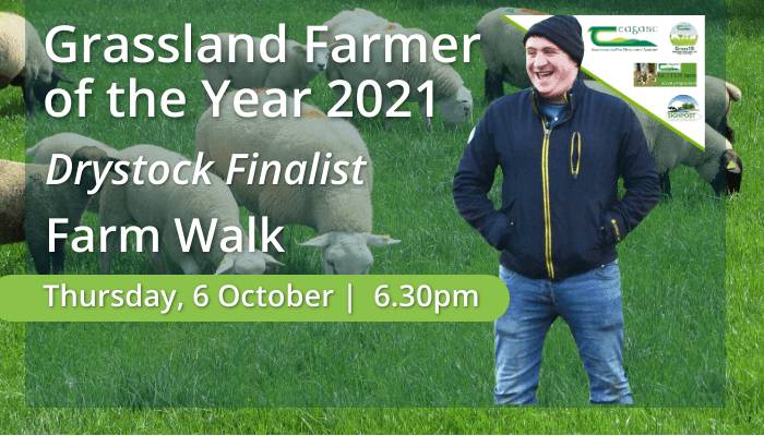 Grassland Farmer of the Year - Shane Moore