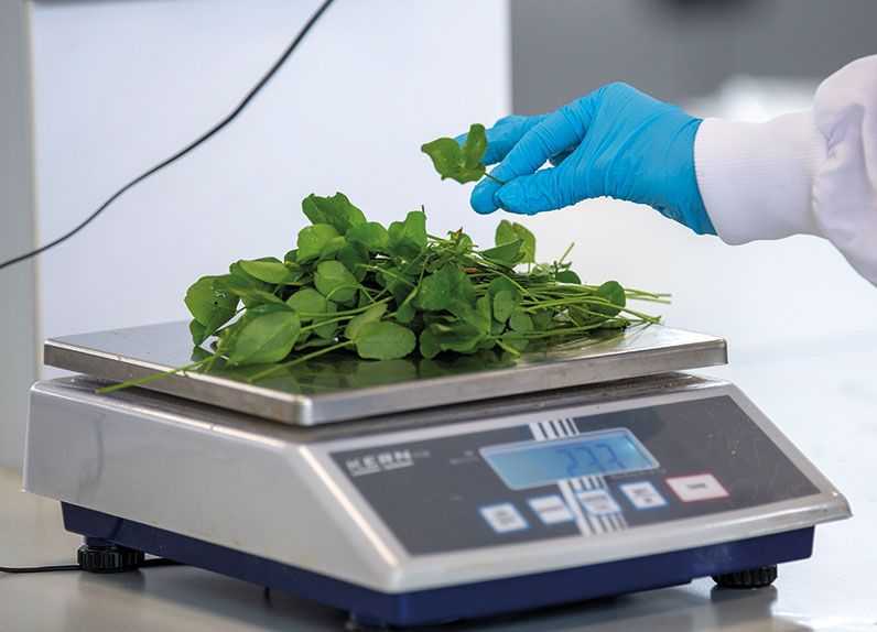 TResearch Autumn 2023