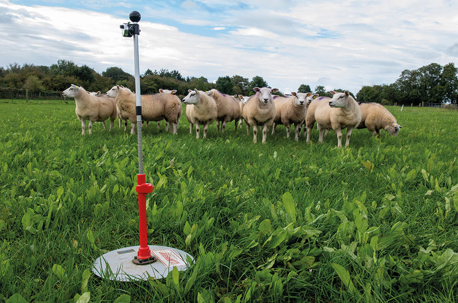 TResearch Autumn 2023