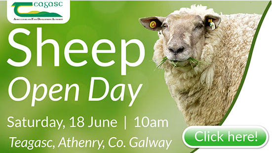 Grass10 Newsletter - 7th June 2022