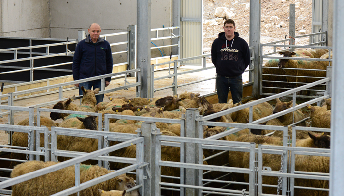 Planning winter housing facilities for sheep 