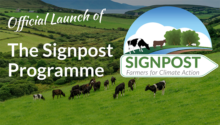 Launch of The Signpost Programme