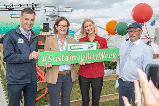 Signpost Sustainability Week