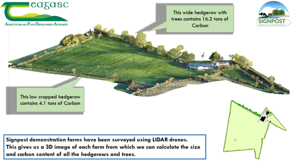 A 3D model of a signpost farm block, with accompanying habitat map. The figure shown is actual above ground carbon estimates for those two hedgerows (both the same length). More details and descriptions are available in the text accompanying