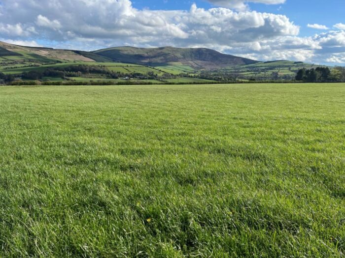 Protected urea: reducing emissions while sustaining production