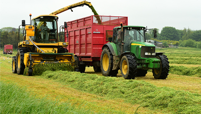 The cost of feedstuffs on beef farms