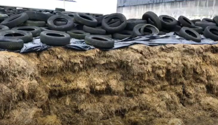 Visual assessment of silage quality