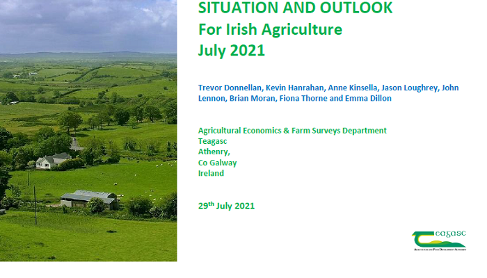 Positive farm price developments signal boost to farm incomes in 2021