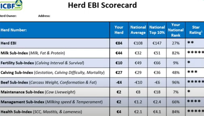 Six point plan to successful breeding