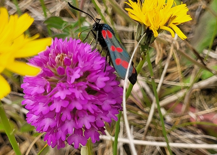 Help us make a difference: We need agricultural voices