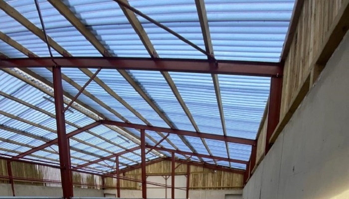 Clear sheeting on the roof of Charlie Smyths shed