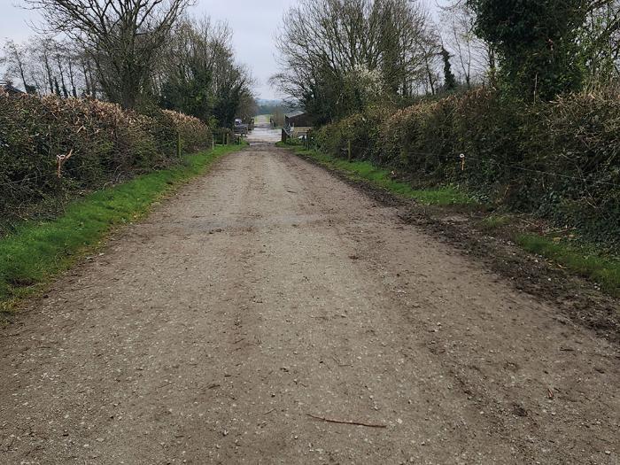 TResearch Autumn 2024